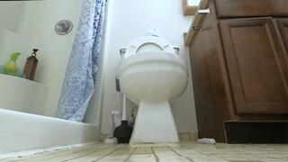 Giantess - You are but a Speck, a mere blip in a Giantess World POV, toilet fetish, Shrinking fetish  1080