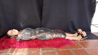 Tickling a lady's feet (3)