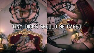 Tiny Dicks Should Be Caged!