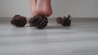 The feet of a dominatrix like to hit and stomp with her feet
