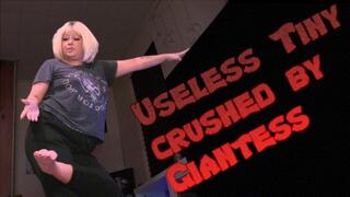 Useless Tiny Crushed By Giantess Goddess