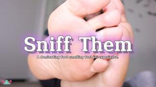 Sniff Them 4K