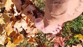 Tempest walking in the leaves