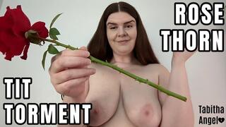 Rose Thorn Tit Torment MP4