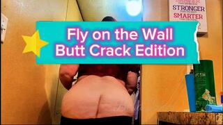 Be a Fly On The Wall: Asscrack - Unedited, Raw Footage; Voyeur Experience - Jiggling, Booty Shaking & Dancing: Bootyful Bella Blast