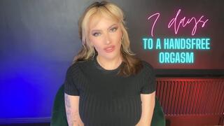 7 Days to your first Hands Free Orgasm