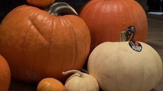 give granny a foot rub