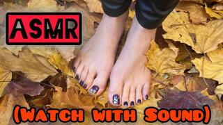 This Video Is A Must Watch With Sound