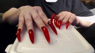 sounds of scratching nov 2024