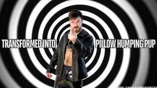 Transformed into pillow humping pup