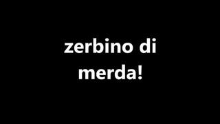 sei solo uno zerbino di mer- you re just a silly stupid carpet