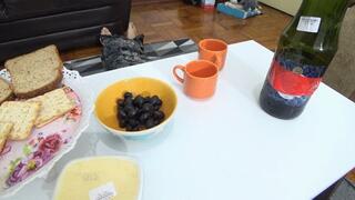 FARTING IN Breakfast AND IGNORING SLAVE BY SCARLET WHITE, DICK STUART AND AMANDA BELMONT CAM BY ALINE FULL HD