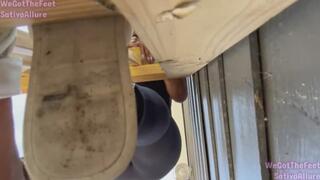 Sativa Allure Tramples Beta Foot Bpy