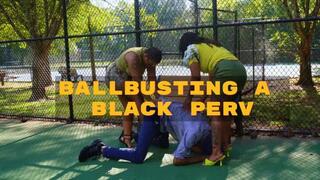 Ebony Goddesses Fairy Feet & Aspen Aires Ball bust Black Foot Creeping Loser (Ebony Ballbusting Femdom POV)