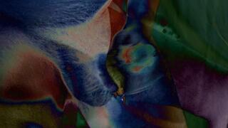 Cut Cock Humiliation Video Mindfuck