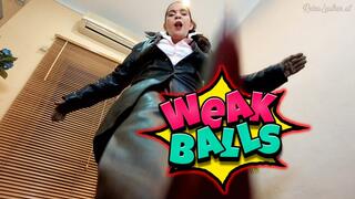 Weak Balls- Ball Busted Reinaleather pointy boots POV