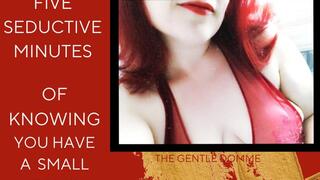 Five Seductive Minutes of Knowing You Have a Small Penis