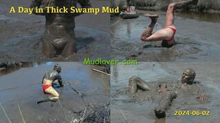 A Day in Thick Swamp Mud, 2024-06-02