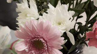 Flowers always making me sneeze