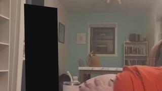 Post-dinner belly play