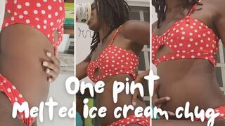 One pint of melted ice cream