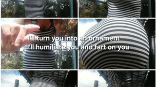 You are a statue, an ornament of my houseI humiliate you and fart on you