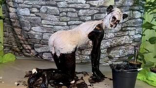 Jade the Panda : Messy Transformation