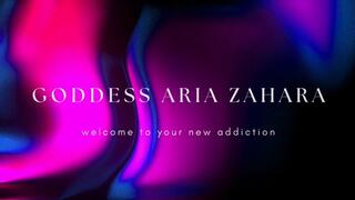 Sissy Training Regimen