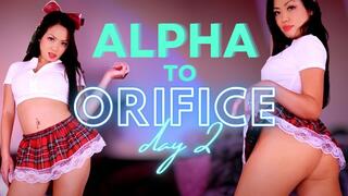 Alpha to Orifice Day 2 - 720p