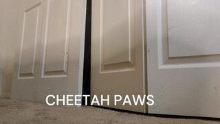 CHEETAH PAWS PT 2