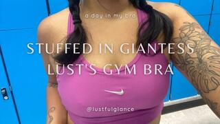 Stuffed into Giantess Lust's Sweaty Bra a