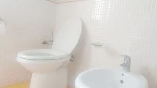 beautiful Lavinia loves to relax while peeing