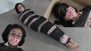 Sarah Wild; Private Eye in "First Class Delivery, Third Class Detective"