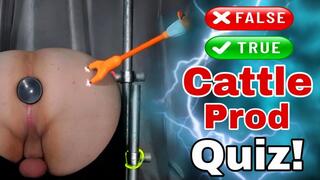 Femdom Cattle Prod Glow Quiz in Bondage!