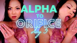 Alpha to Orifice Day 5