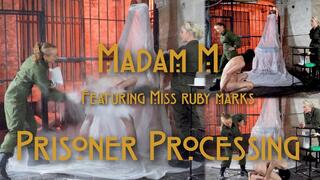 Prisoner Processing, stripped, slapped, strapped and delousing humiliation