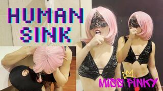 My Personal Human Sink