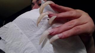 morning display of powernov 2024