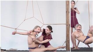 OPHELIA BRAIDS BRAMBLE (FHD)