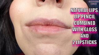 NATURAL LIPS, LIP PENCIL COMBINED WITH GLOSS AND 2 LIPSTICKS