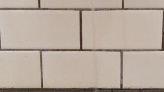 Two golden showers over mushrooms