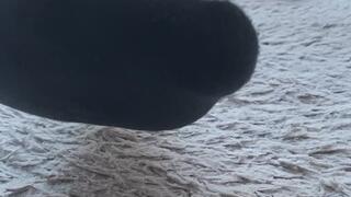 Hidden Beauty in the Details: A Closer Look at Male Feet