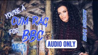 YOU’RE A CUM RAG FOR BBC - AUDIO ONLY