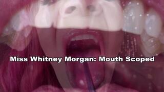 Miss Whitney Morgan Mouth Scoped - mp4