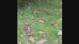 Damn it ! I’m stuck