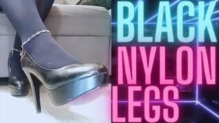 (66) BLACK NYLON LEGS