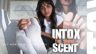 Sniffing session CEI - Mistress Enola - Cum to my to feet and lick it!