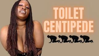 Toilet Centipede