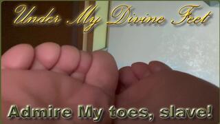 Admire My toes, slave!