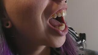 Vape Vision Mouth Tour